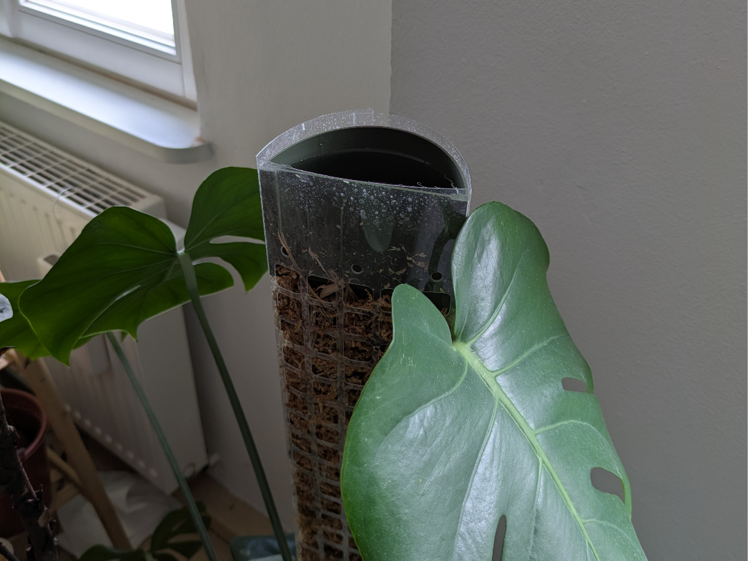 Parametric Moss Pole Dripper