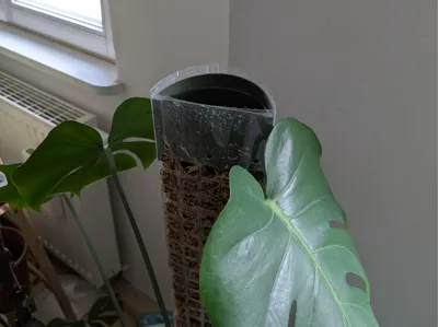 Parametric Moss Pole Dripper