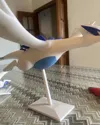 Body with a recess for support insertion + support