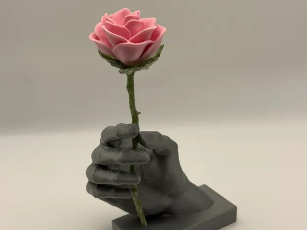 https://makerworld.bblmw.com/makerworld/model/USd55cb274f6162c/design/2025-11-02_cdd7c8c0cd9868.jpeg