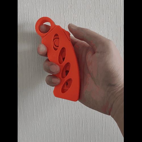 https://makerworld.bblmw.com/makerworld/model/USd56269130247df/design/2024-01-15_faf5b9d0edc7a.gif
