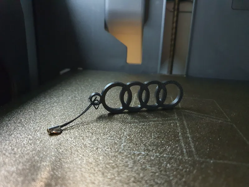 Audi keychain