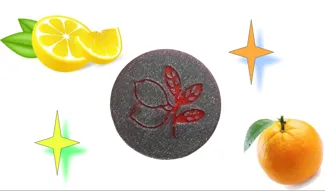Citrus Coin!