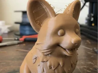 Corgi v2