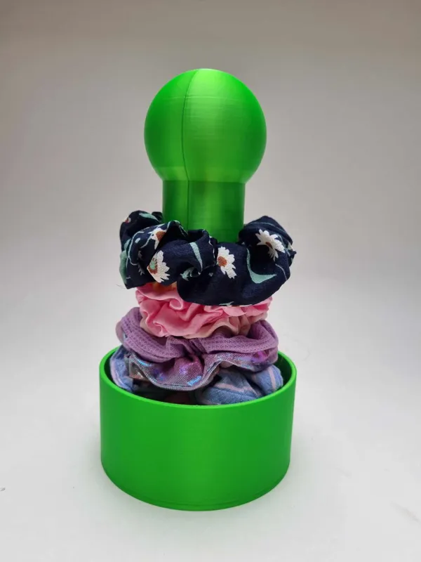https://makerworld.bblmw.com/makerworld/model/USd570d05b6f686e/design/2024-03-21_f6e167db7ccb.jpg