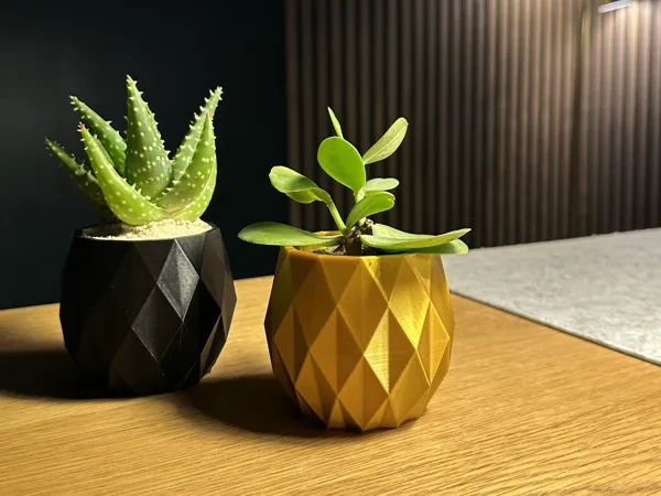 https://makerworld.bblmw.com/makerworld/model/USd5712e677f1422/design/2024-09-25_e9d327906345e.jpg