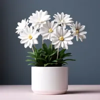 Plante décorative simple — photo 3