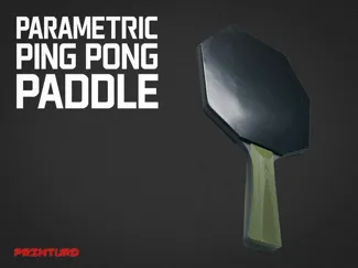 Parametric Ping Pong Paddle 