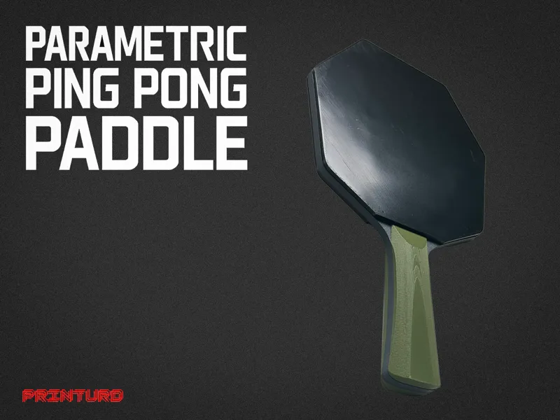 Parametric Ping Pong Paddle 