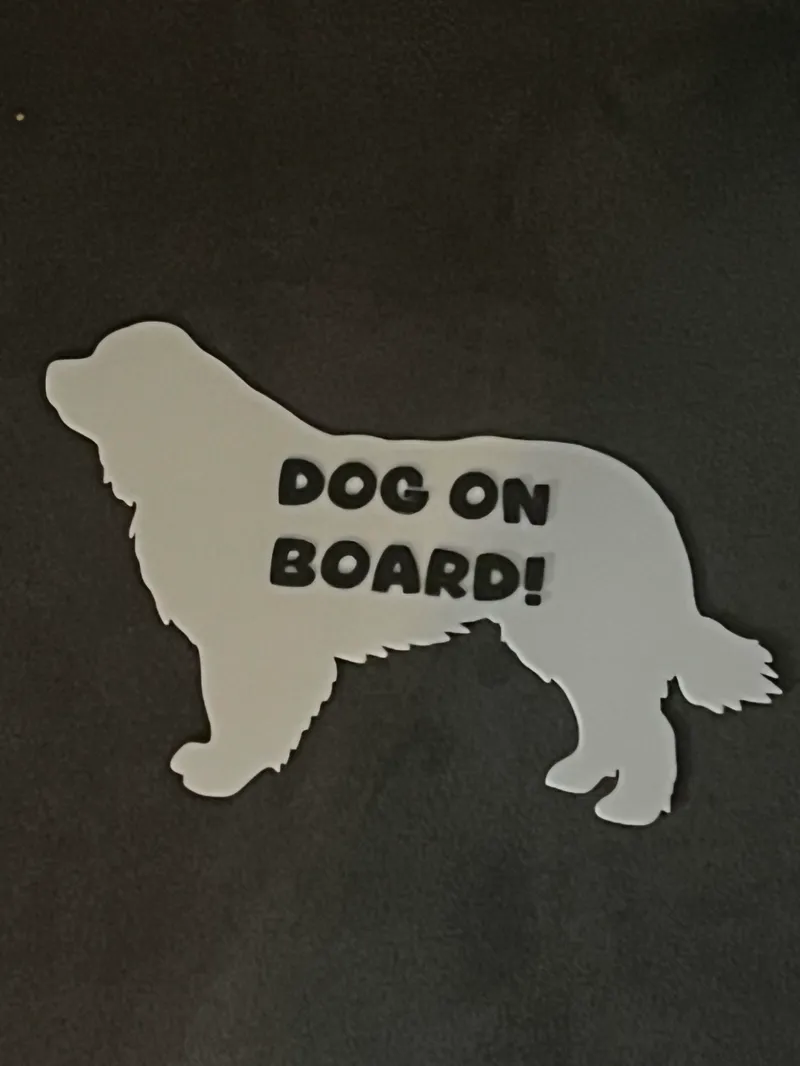On Board Car Sign