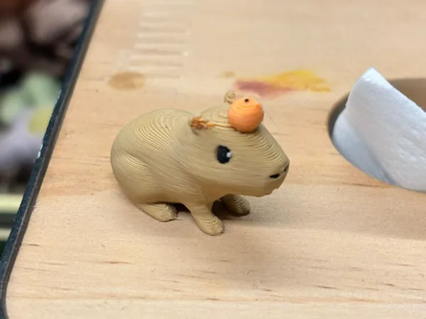 https://makerworld.bblmw.com/makerworld/model/USd5878b716225fa/design/1d287260f03acf36.jpeg