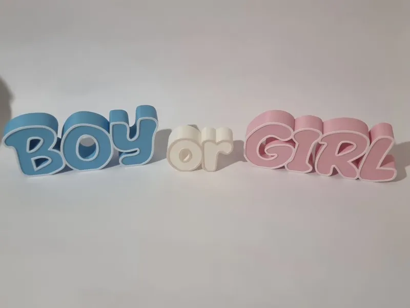 BOY or GIRL - GENDER REVEAL