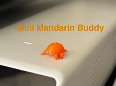 Mini Orange Buddy