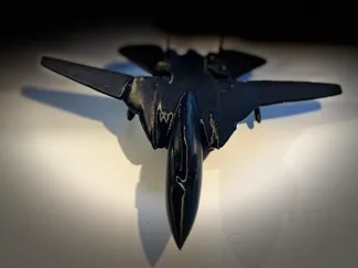 F-14 Tomcat