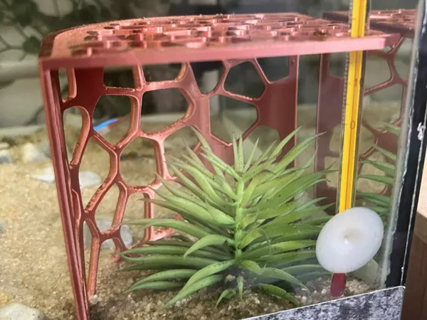 https://makerworld.bblmw.com/makerworld/model/USd591d95a7bb861/design/2025-06-22_9825df932cf59.jpg