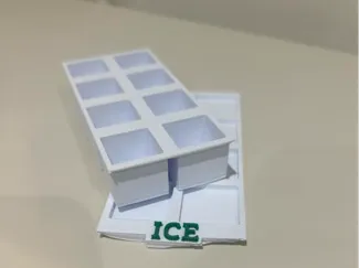 Ice Mould With Tray