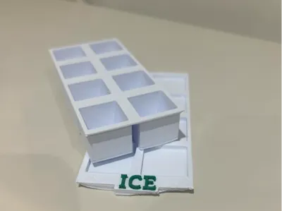 Ice Mould With Tray