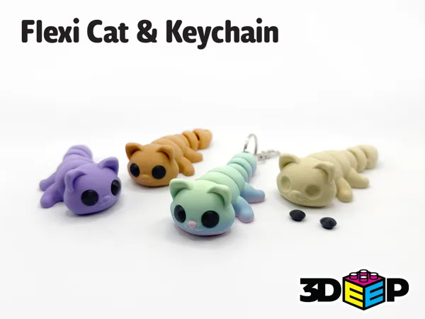 https://makerworld.bblmw.com/makerworld/model/USd592e2c877d18c/design/2025-01-01_855769bb8c791.png