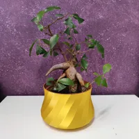 Pot à bonsaï spirale — photo 3