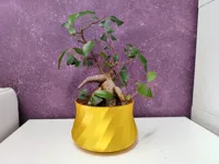 Pot à bonsaï spirale — photo 2