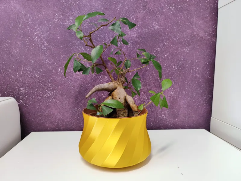 Vaso Bonsai Nino