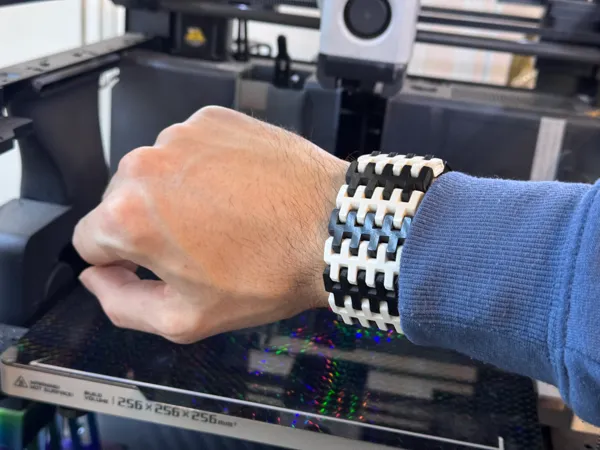 https://makerworld.bblmw.com/makerworld/model/USd596aa495dbf53/design/2025-03-13_589f452b22ab98.jpg