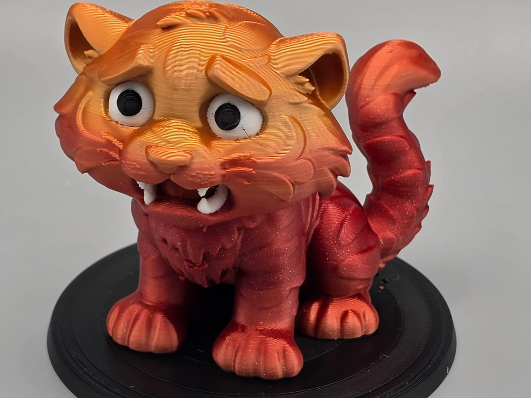 Scaredy Cat