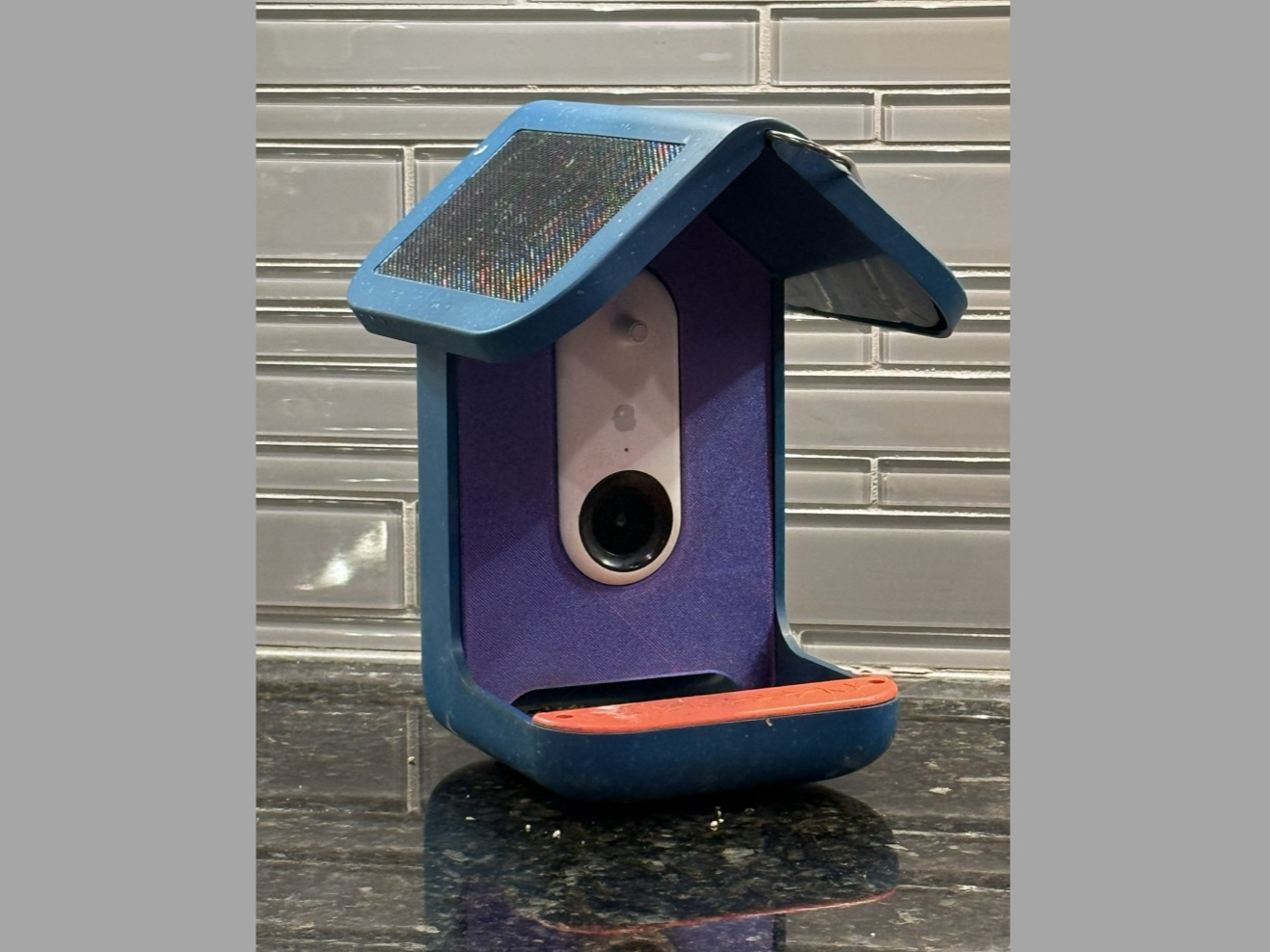 Bird Buddy Front with top hole for solar charger