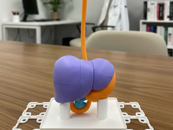 https://makerworld.bblmw.com/makerworld/model/USd5a7735ced1710/design/2025-10-12_243c3a15f5b1d.png