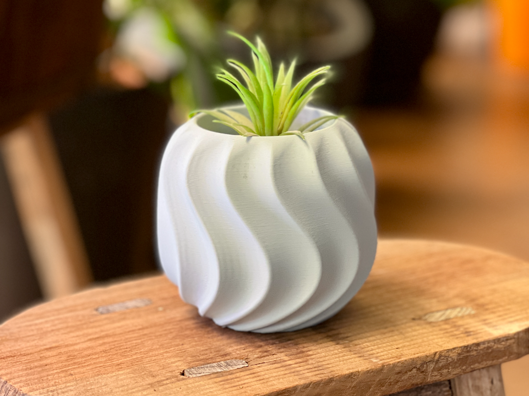Cactus WavePot