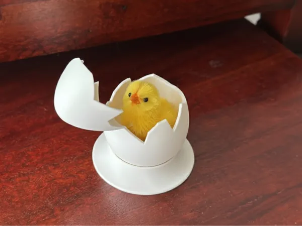 https://makerworld.bblmw.com/makerworld/model/USd5b04554105939/design/e7ccef0b5ce061e4.png