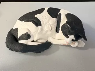 Sleeping Cat