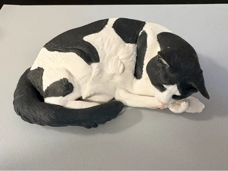 Sleeping Cat