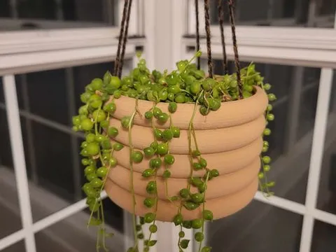 https://makerworld.bblmw.com/makerworld/model/USd5b8cef3b15909/design/2024-10-23_a65c39374c223.jpg