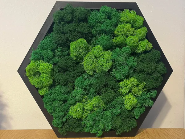 https://makerworld.bblmw.com/makerworld/model/USd5b9e658d0a190/design/2026-01-02_af2d26dee0fff.jpg
