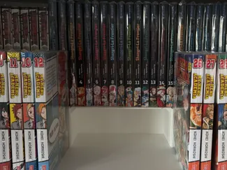 Parametric Manga Stand / Shelf Riser