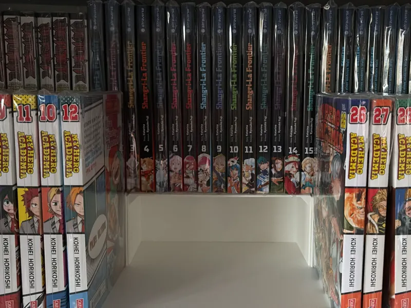 Parametric Manga Stand / Shelf Riser