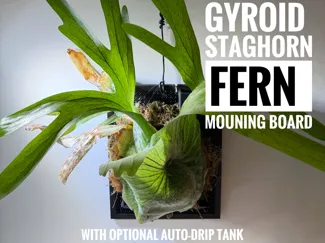 Gyroid Epiphyte Mount & Complete Drip System