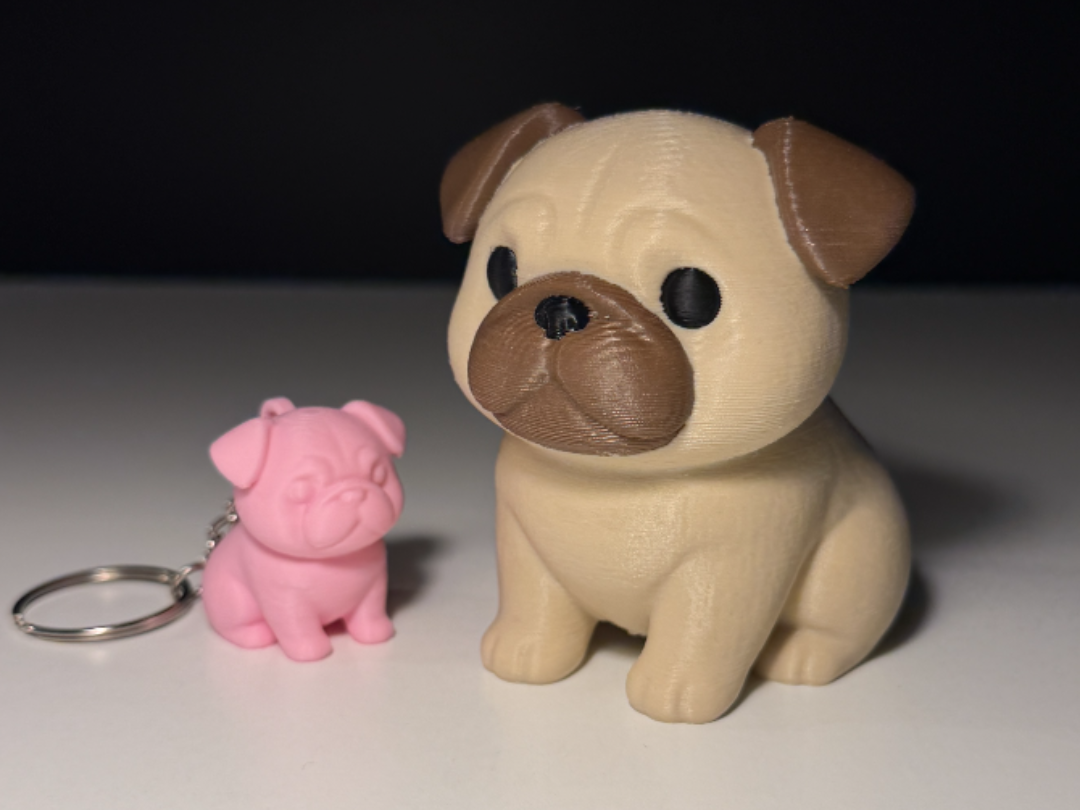 Cute Pug
