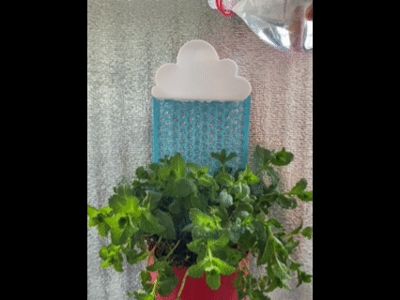 Artificial Rain Plant Pot & Desk Ornament