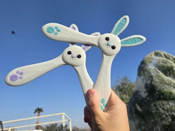 https://makerworld.bblmw.com/makerworld/model/USd5d3b2c67b3977/design/04be8637c4726a7f.jpeg