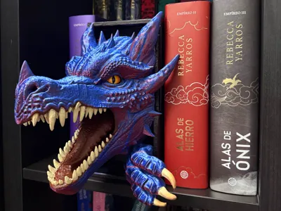 BOOK NOOK DRAGON