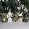 Dogos