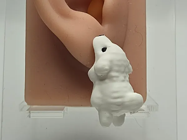https://makerworld.bblmw.com/makerworld/model/USd5d928db842781/design/2026-01-19_5ea0178cd1943.jpg
