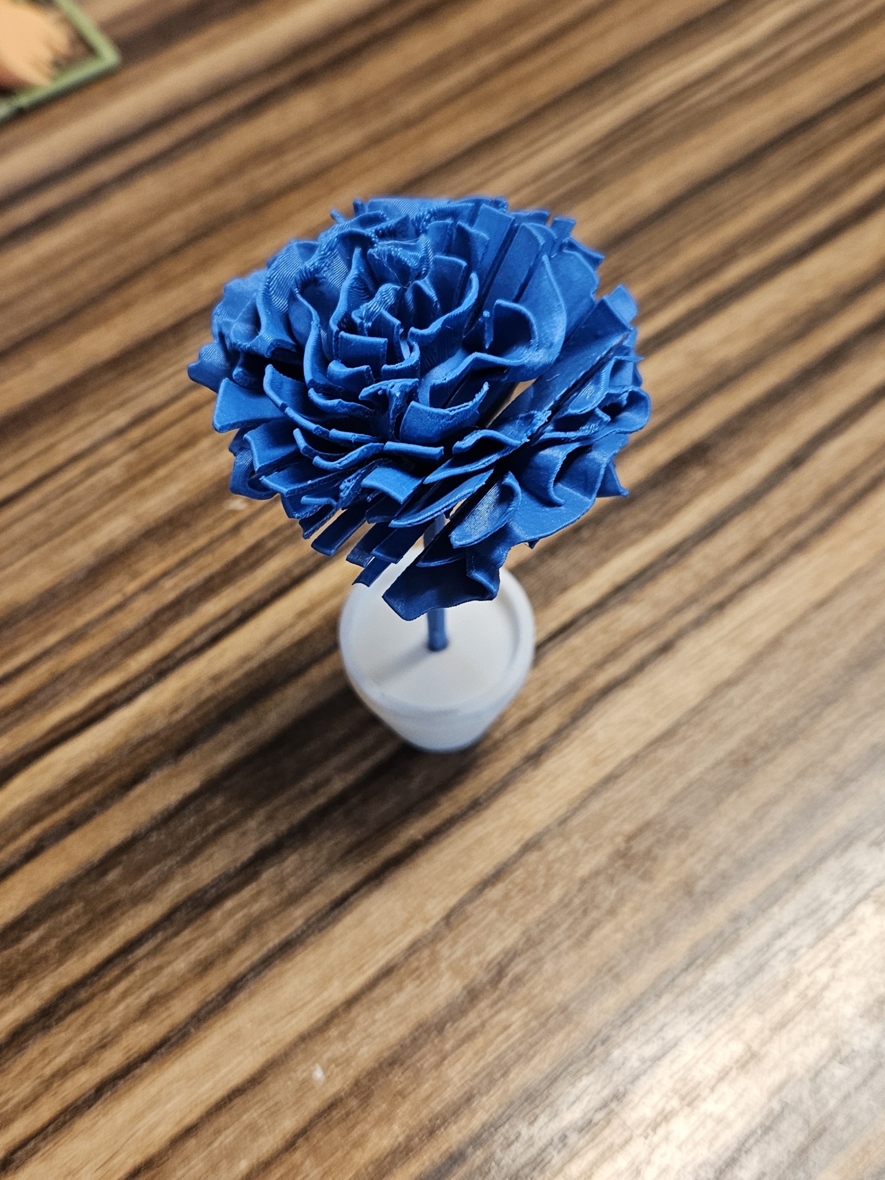 Miniatura 2 do modelo 3D Flower kitcard (3D) carnation 