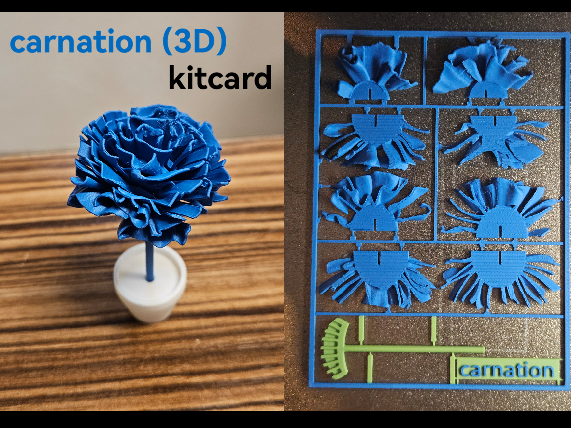 Flower kitcard (3D) carnation 