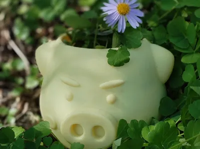 Chubby Piggy Plant Container
