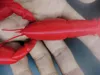 0.12mm layer, 2 walls, 15% infill
