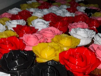Plate of roses
