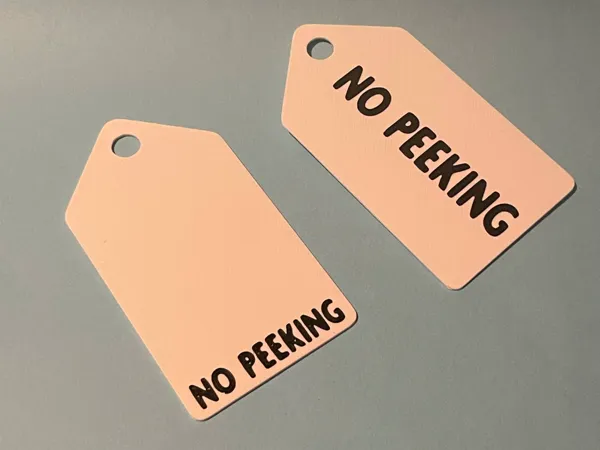 https://makerworld.bblmw.com/makerworld/model/USd5e365f5715719/design/2025-05-14_363f9769b9ab.jpeg